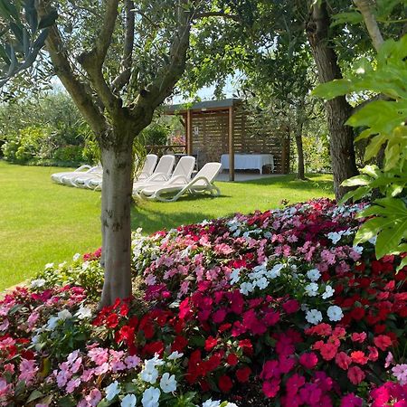 Agricampeggio Oasi Del Garda لاتيزي المظهر الخارجي الصورة