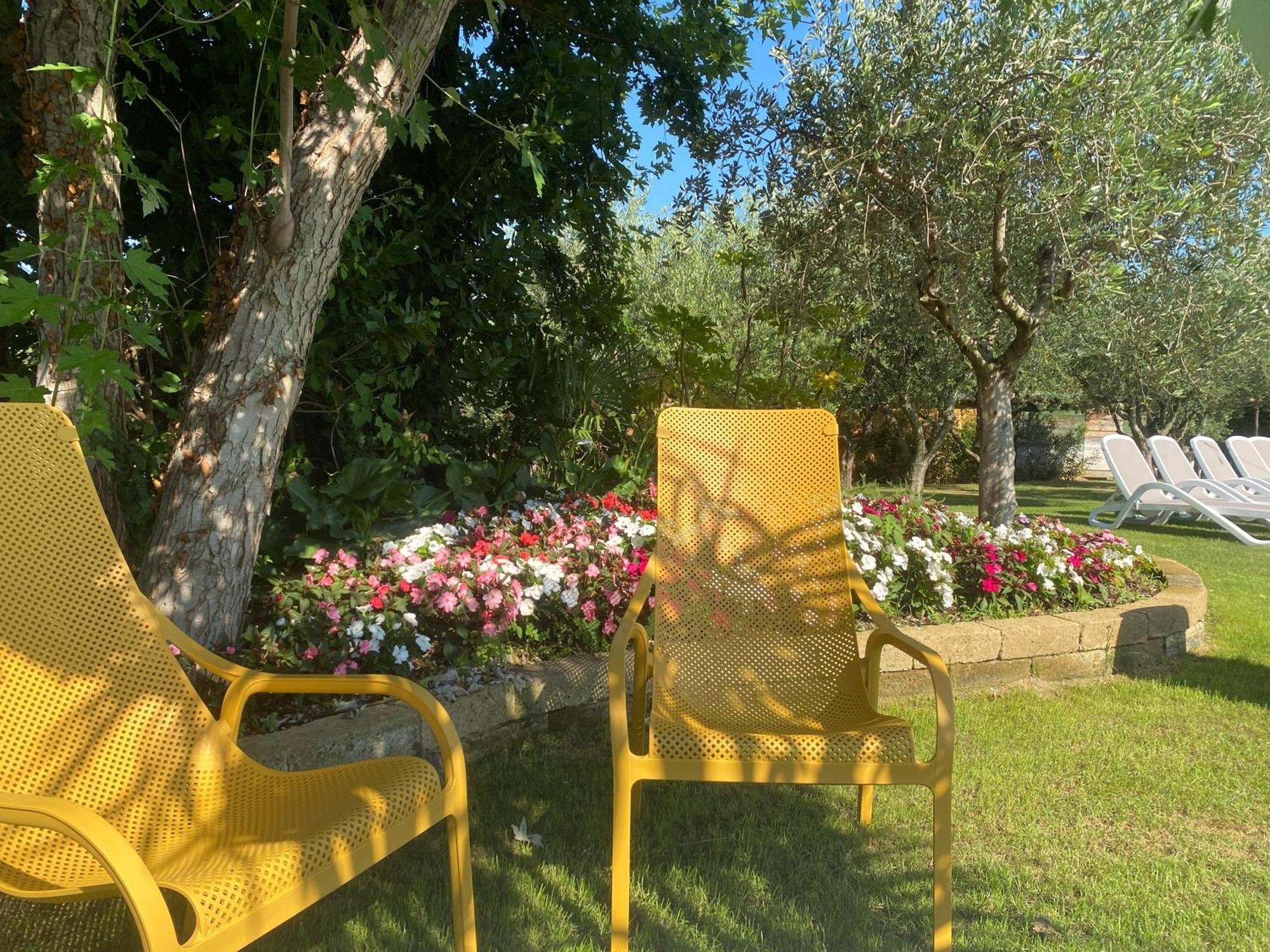 Agricampeggio Oasi Del Garda لاتيزي المظهر الخارجي الصورة