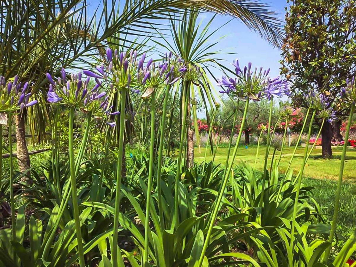 Agricampeggio Oasi Del Garda لاتيزي المظهر الخارجي الصورة